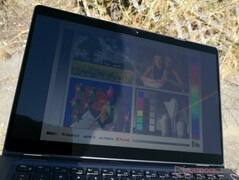 Im Freien in der Sonne