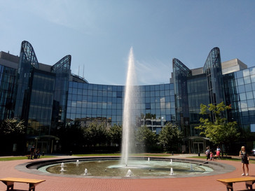 13-MP-Hauptkamera des Gigaset GS180