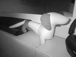 Aufnahme Nachtsichtkamera