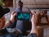 Ob gemütliche Farmarbeit in Stardew Valley oder schnelle Dämonenjagd in Doom – bei welchen Spielen Gamer sich am besten entspannen können, ist offenbar sehr unterschiedlich. 