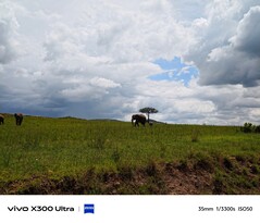 Vivo X300 Ultra auf Safari: 35mm Shot