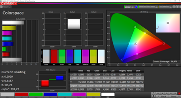 CalMAN Colorspace: 98,6 % sRGB