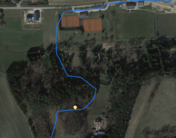 GPS Asus Zenfone Go: Wald