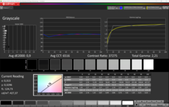 Graustufen (kalibriert)