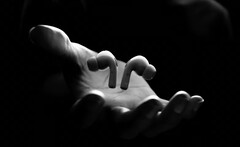 Die Apple AirPods Pro 2 versprechen deutlich besseren Sound und neue Features. (Bild: Apple)