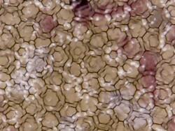 Nahaufnahme des Bildschirms