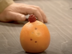 Was sucht die Beere auf einer Orange? Das erklärt sich nur im Englischen. (Bild: BBC)