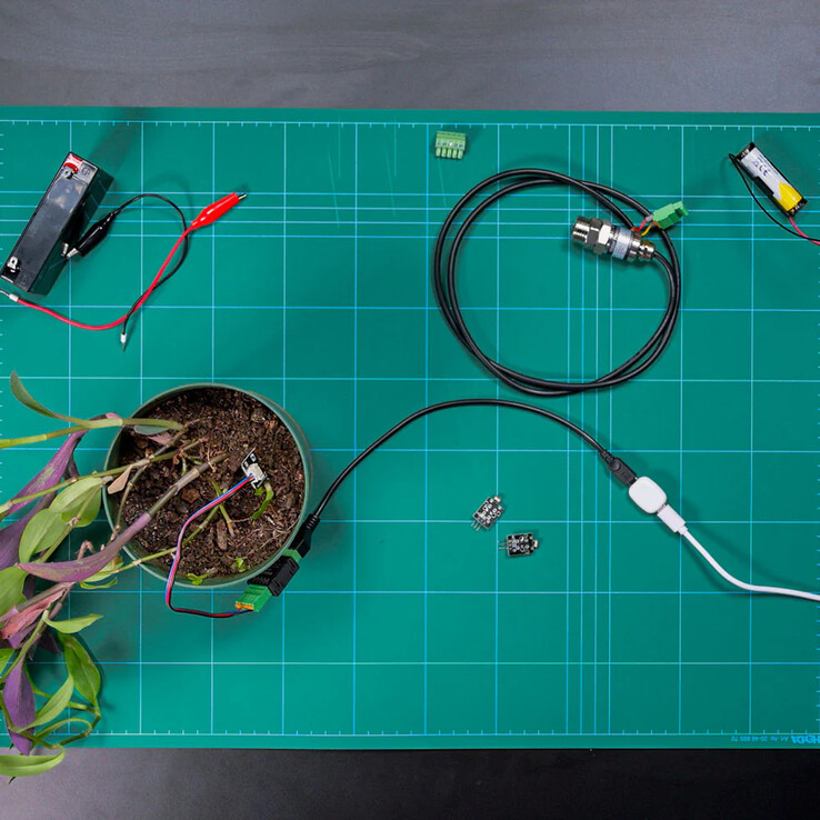 The Pill by Shelly (Bildquelle: Shelly)