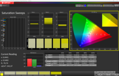 CalMAN Sättigung (kalibriert)