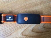 Weenect XT mit Julius-K9-Halsband