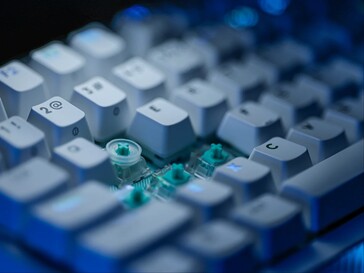 SAPP-Ring auf den Switches