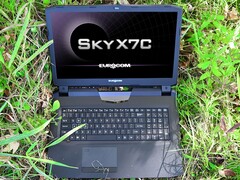 Test Eurocom Sky X7C (i9-9900K, RTX 2080, FHD 144 Hz) Clevo P775TM1-G Laptop