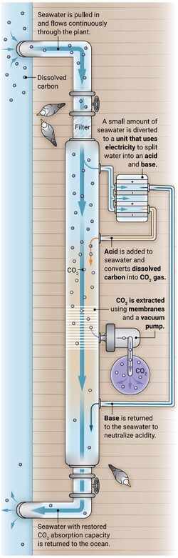 Vor allem die spätere Speicherung stellt eine große Aufgabe dar. Das Filtern, hier schematisch dargestellt, ist dagegen gar nicht schwer. (Bild: N.Burgess/Science)