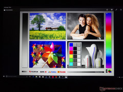 großzügige Blickwinkel des IPS-Panels