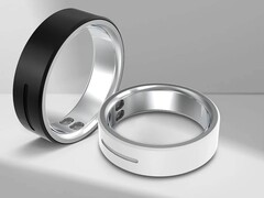 Der Vibe ist aktuell nur in einer der beiden Modellversionen erhältlich (Bildquelle: Rollme)