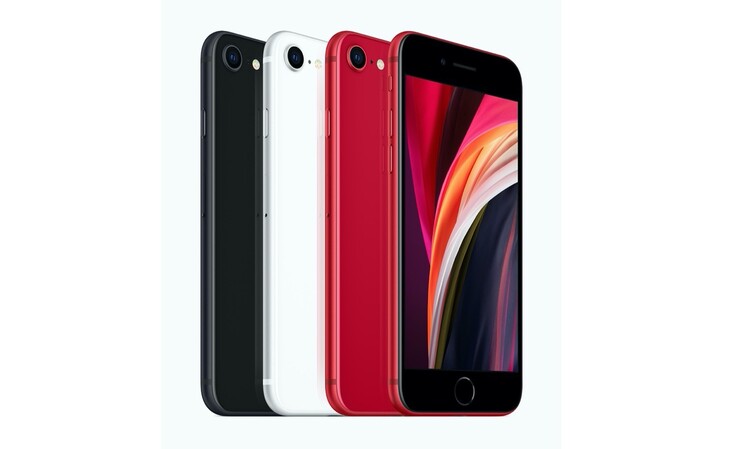 Das iPhone SE ist in drei Farben erhältlich, beim iPhone 11 ist die Auswahl aber noch größer. (Bild: Apple)