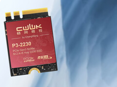 Die CWWK SSD