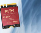 Die CWWK SSD