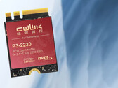 Die CWWK SSD