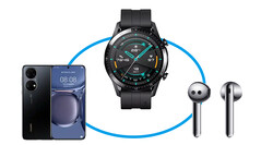 Huawei Watch GT 2: Neues Update startet in Asien (Bild: Huawei)