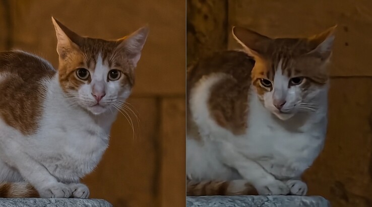 Links mit Telekonverter bei 200mm. Rechts ohne Telekonverter.