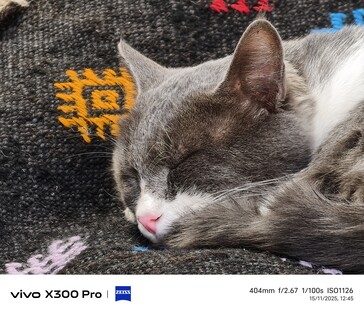 Vivo X300 Pro 400mm ohne Tele-Konverter.