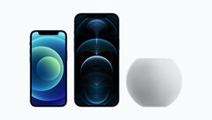 Das Apple iPhone 12 mini, das iPhone 12 Pro Max und der HomePod mini werden bereits ab dem 13. November ausgeliefert. (Bild: Apple)