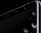 DisplayMate kürt das OLED-Display des Samsung Galaxy S9 zum besten Smartphone-Display der Welt.