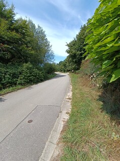 Aufnahme mit der Ultraweitwinkelkamera