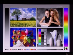 Große OLED-Blickwinkel