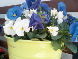 Frontkamera-Aufnahme