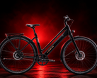 Das Trek Inbound+ E-Bike hat einen Bosch-Motor mit 250 Watt