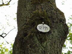 Huawei P30 | 5x-Zoom