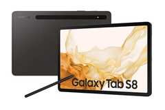 Laut einem Leak soll der Nachfolger des Galaxy Tab S8 wasserdicht sein. (Bild: Samsung)