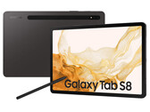 Laut einem Leak soll der Nachfolger des Galaxy Tab S8 wasserdicht sein. (Bild: Samsung)