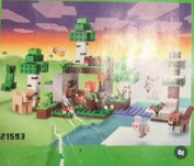 The First Night Adventure