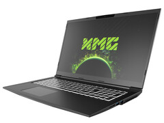 Schenker XMG Core 17 (Tongfang GM7MG0R) Test: Konfigurierbarer Gamer mit WQHD-Bildschirm