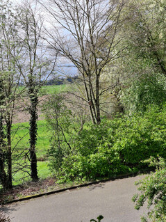 Aufnahme mit der Hauptkamera (2x Zoom)