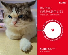 Gute Kombo: Apples MagSafe-ähnliches Wireless Charging und eine 35 mm Kamera, die tolle Katzenphotos schießen kann: Die neuesten Nubia Z40 Pro-Teaser.