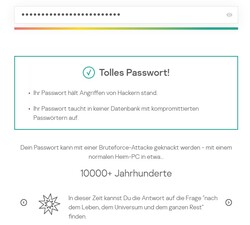 Kasperski Passwort-Checker