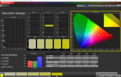 CalMAN Sättigung (P3)