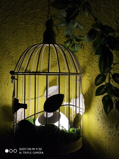 Xiaomi Mi 9 SE - 2x-Zoom