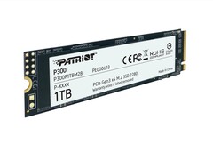 Mit der P300 will Patriot eine besonders günstige und schnelle SSD anbieten. (Bild: Patriot)
