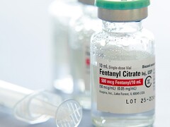 Julia Hiebaum/Alamy Stock Photo