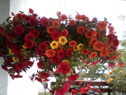 Aufnahme Frontkamera