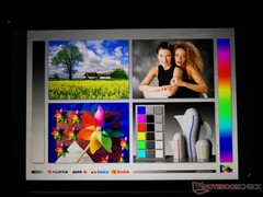 Großzügige IPS-Blickwinkel. Farben und Kontrast ändern sich nur bei sehr großen Winkeln