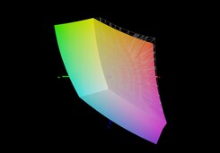 Schenker XMG Core 15 vs sRGB (94 %)