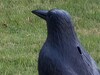 2333 mm (max. Zoom)