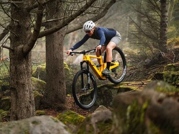 Das eElja mit breiten Reifen im Gelände.