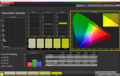 CalMAN Sättigung (sRGB)